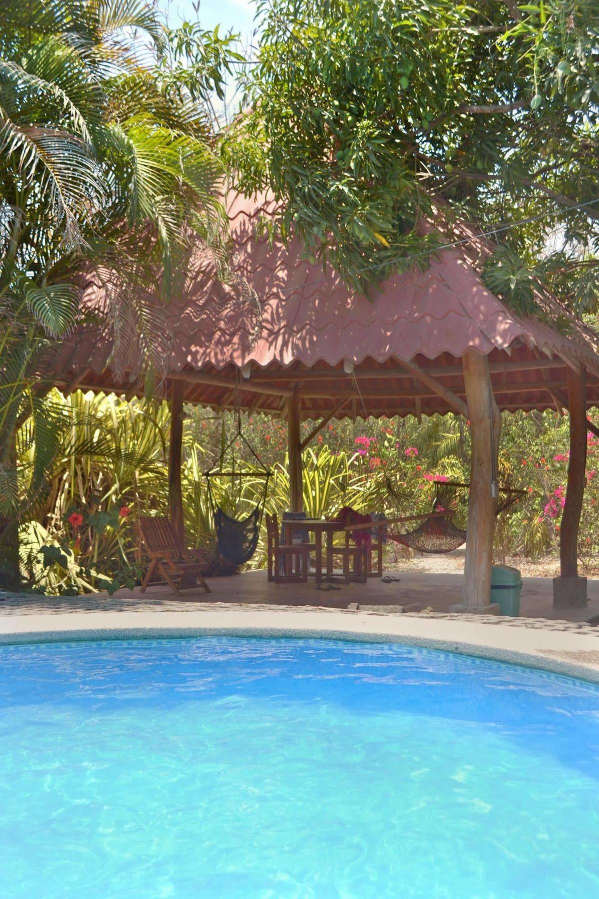 Blue Jay Lodge Paquera Dış mekan fotoğraf