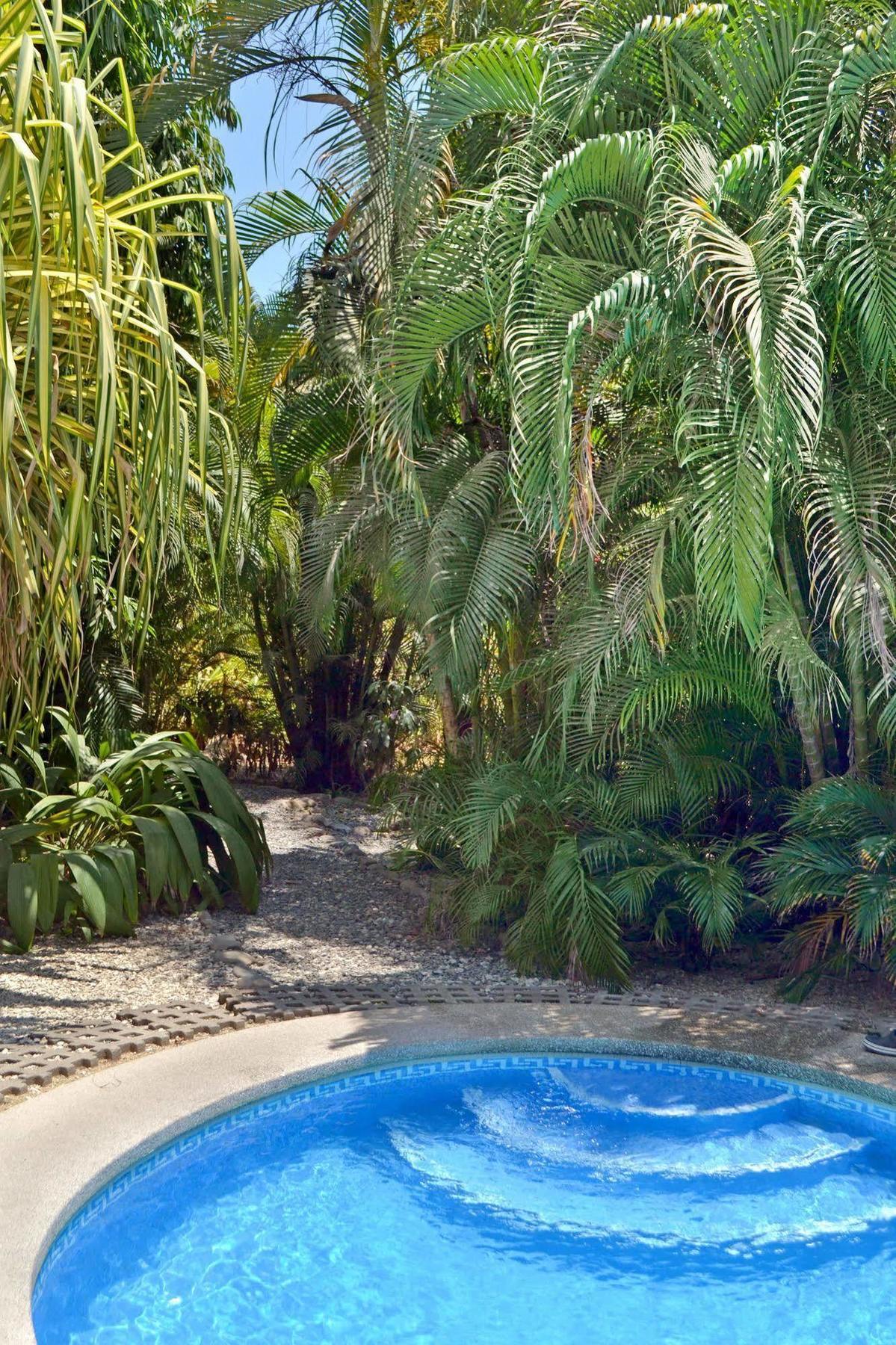 Blue Jay Lodge Paquera Dış mekan fotoğraf