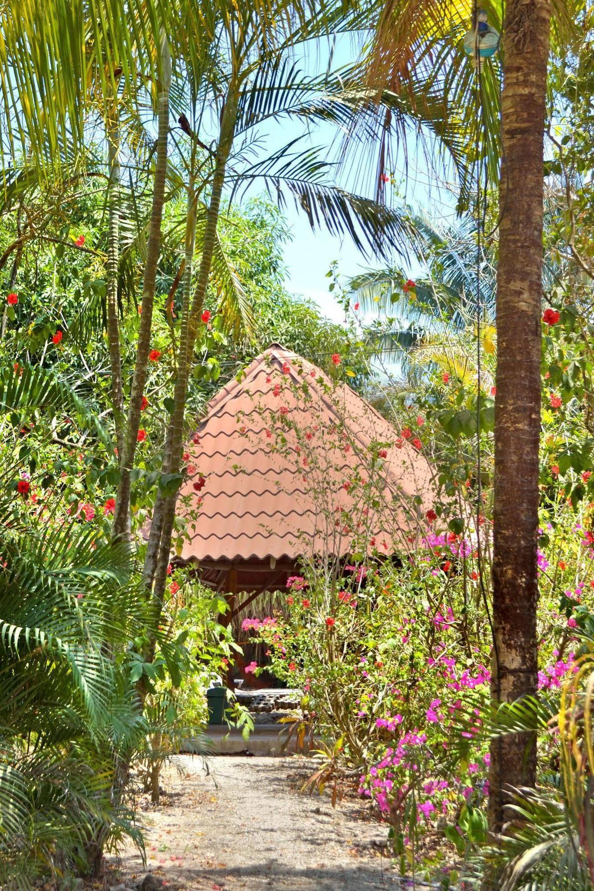 Blue Jay Lodge Paquera Dış mekan fotoğraf